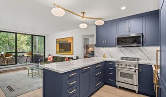 332 VINE St, Aspen, CO 81611