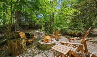 830 W Tweetsie Ln, Banner Elk, NC 28604