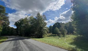 PINEPITCH Road, Harrington, DE 19952