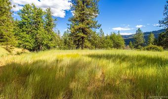 0 Whitetail Dr, Ahsahka, ID 83520