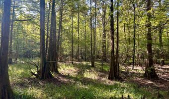 0 Lloyd Mill Rd, Andalusia, AL 36421