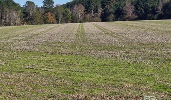 0 Three Mile Rd, Atmore, AL 36502