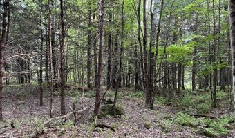 Map17-Lot 31 & 33 River Road, Bath, NH 03740