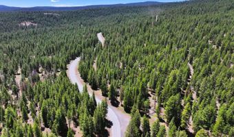 7792 California Pines Blvd, Alturas, CA 96101