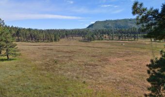 1 A FOREST ROAD 26, Alpine, AZ 85920