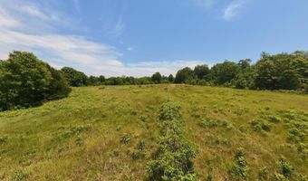 County Road 113, Alton, MO 65606