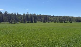 4935 E 900 N, Ashton, ID 83420