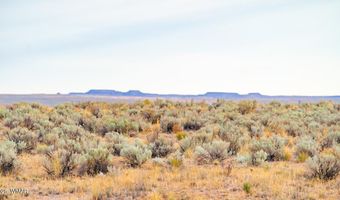 Tbd COUNTY ROAD N7012 40 ACRES, Chambers, AZ 86502