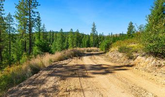 NNA Stone Rd Lot 5 20.0 Acres, Blanchard, ID 83804