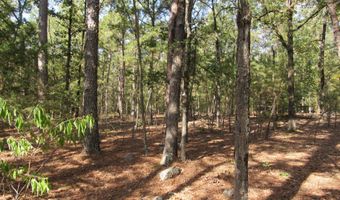 Tract 52 E 1885 Road, Antlers, OK 74523