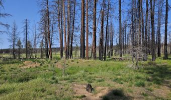 Parazoo Trail Lot 2 Block 8, Bly, OR 97622