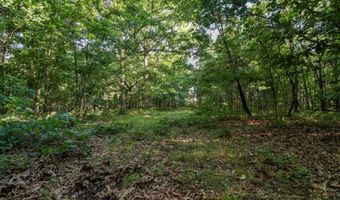 Private Drive Off Of Fr 1245, Aurora, MO 65605