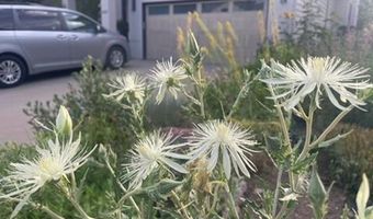 1111 Utica Cir, Boulder, CO 80304