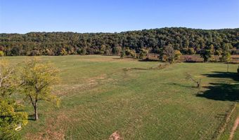 4495 County Road 405, Alton, MO 65606