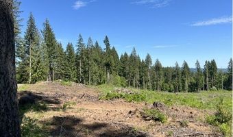 Tunnel Tract Parcel2, Banks, OR 97106
