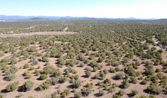24 County Road 8063, Concho, AZ 85924