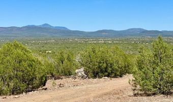 Stagecoach Dr 47 Acres, Ash Fork, AZ 86320