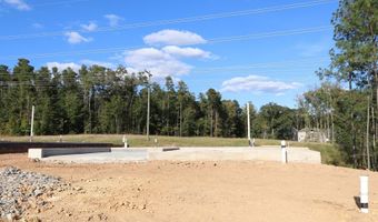 2317 Bee Orchard St, Apex, NC 27502