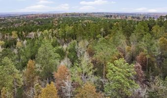 000 A Rock N Creek Rd, Leesville, SC 29070
