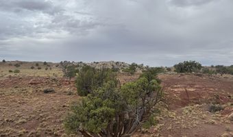Tbd N 9326, Concho, AZ 85924