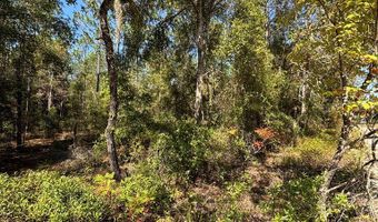 Lot 10 16th Ave, Bell, FL 32619
