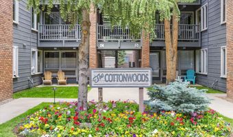 124 W Hyman Ave 3B, Aspen, CO 81611