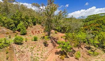 KANA ST 10D, Kapaa, HI 96746
