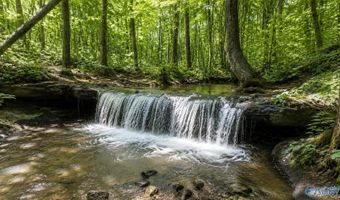 58 Acres Naples Ln, Arab, AL 35016