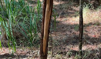 0 Nick Creek Rd, Bernice, LA 71222