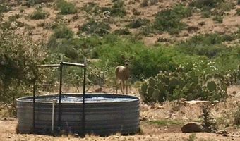 S Bent Spur Road, Congress, AZ 85332