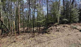 Prospect Street, Bethlehem, NH 03574