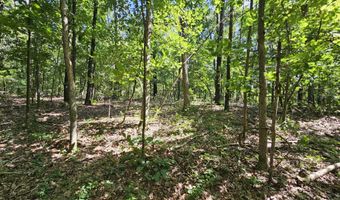 65 Acres Plainview Rd, Anderson, MO 64831