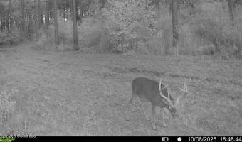 425 Rose Hill Rd, Bentonia, MS 39040