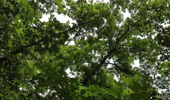 13 Hidden Vly Lks, Annapolis, MO 63620