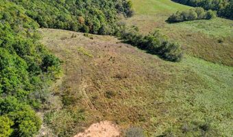 3850 Private Drive 3220, Ava, MO 65608