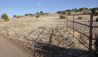 20 County Road 3044, Concho, AZ 85924