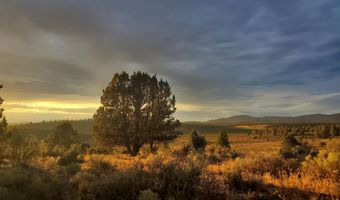 Wayside Circle 13, Beatty, OR 97621