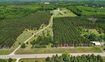 303 Westwood Rd NW, Alden, MI 49612