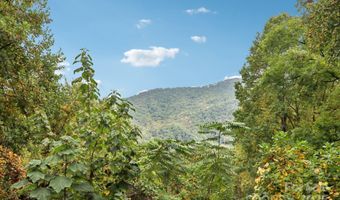 311 Jacks Knob Rd, Barnardsville, NC 28709