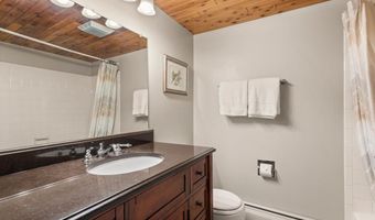 600 E Main St 207, Aspen, CO 81611