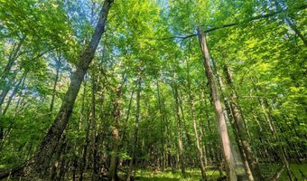 S Badger Lane, Arkdale, WI 54613