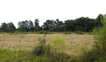 1665 Peyton Ave, Ashdown, AR 71822