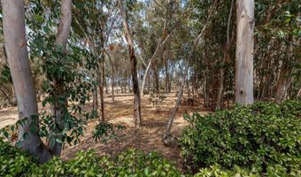 2708 Grove Ave, Carlsbad, CA 92008