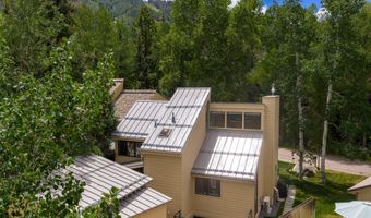 314 N Riverside Ave 2, Aspen, CO 81611