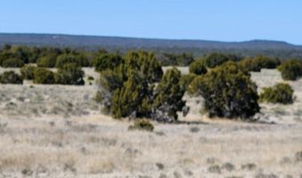 Lot 18 Skyview Ranch 18, Fence Lake, NM 87315