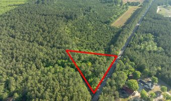 Ethridge Drive, Andrews, SC 29510