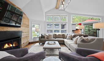 925 E DURANT Avenue 2, Aspen, CO 81611