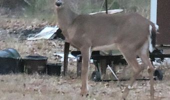 6629 Eubank Dr, Appling, GA 30802