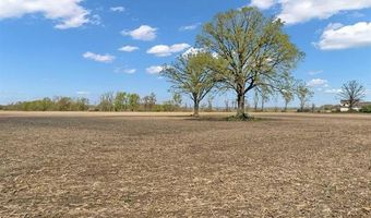 Par 4 Capac, Allenton, MI 48002