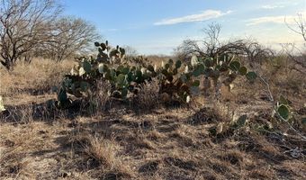 CR 119 lot 0, Alice, TX 78332